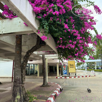 фото из отзыва ID 2580771