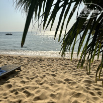 фото из отзыва ID 2580814