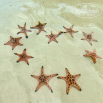 фото из отзыва ID 2580814