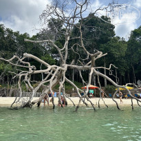 фото из отзыва ID 2580814