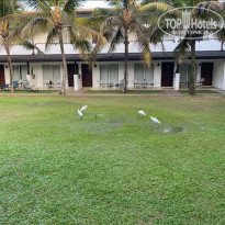 фото из отзыва ID 2580955