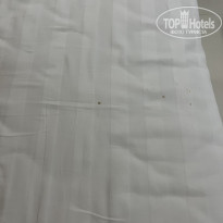 фото из отзыва ID 2581038