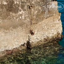 фото из отзыва ID 2581045