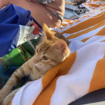 фото из отзыва ID 2581182