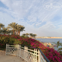 фото из отзыва ID 2580628