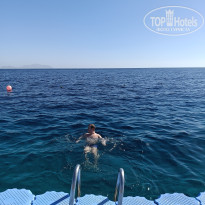 фото из отзыва ID 2580628