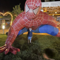 фото из отзыва ID 2581315