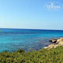 фото из отзыва ID 2581341