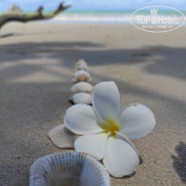 фото из отзыва ID 2581352