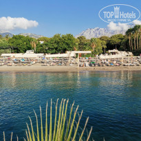 фото из отзыва ID 2581357