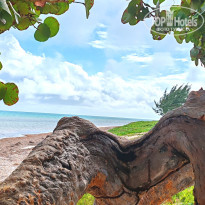 фото из отзыва ID 2581403