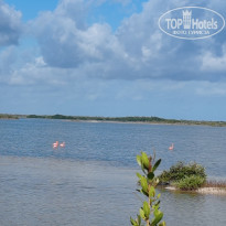 фото из отзыва ID 2581403