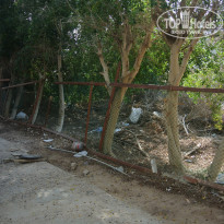 фото из отзыва ID 2581410