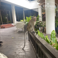 фото из отзыва ID 2581415