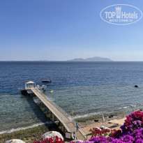 фото из отзыва ID 2581469