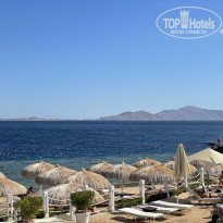 фото из отзыва ID 2581469