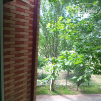 фото из отзыва ID 2581614