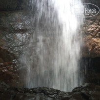 фото из отзыва ID 2581622