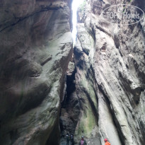 фото из отзыва ID 2581622