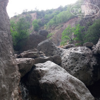 фото из отзыва ID 2581622