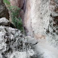 фото из отзыва ID 2581622