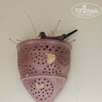 фото из отзыва ID 2581440