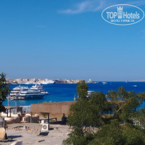 фото из отзыва ID 2581440