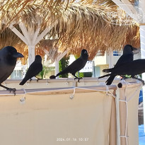 фото из отзыва ID 2581530