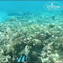 фото из отзыва ID 2581530