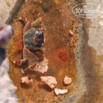 фото из отзыва ID 2581530