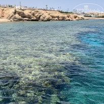 фото из отзыва ID 2581682