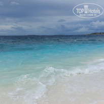 фото из отзыва ID 2582004