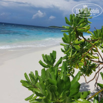 фото из отзыва ID 2582004