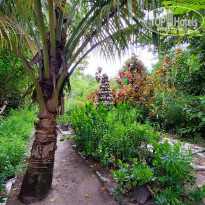 фото из отзыва ID 2582004