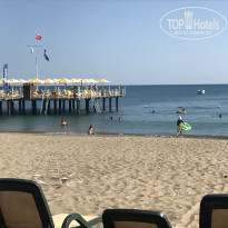 фото из отзыва ID 2582075