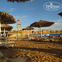 фото из отзыва ID 2582084