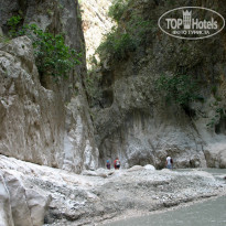 фото из отзыва ID 2581714