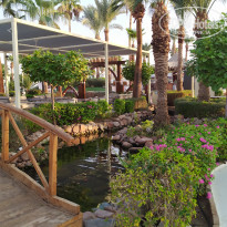 фото из отзыва ID 2582148