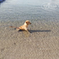 фото из отзыва ID 2582148