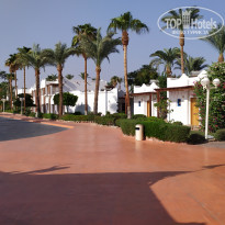 фото из отзыва ID 2582148