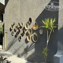 фото из отзыва ID 2582194