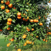 фото из отзыва ID 2582255