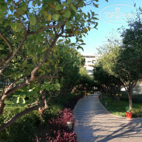 фото из отзыва ID 2582255