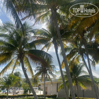 фото из отзыва ID 2582419