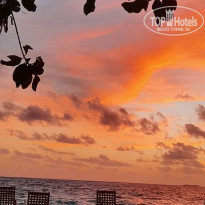 фото из отзыва ID 2582409