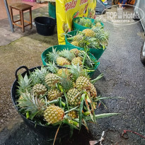 фото из отзыва ID 2582404