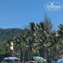 фото из отзыва ID 2582613