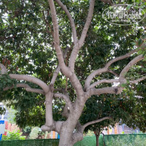 фото из отзыва ID 2582701