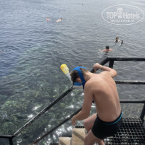 фото из отзыва ID 2582751