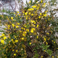 фото из отзыва ID 2583026